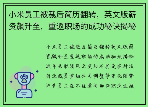 小米员工被裁后简历翻转，英文版薪资飙升至，重返职场的成功秘诀揭秘！